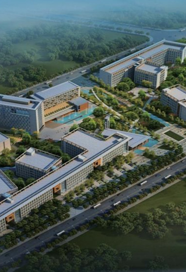 国际研学与升学衔接