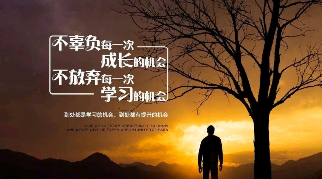 【项目申报】2026年全国教育科学规划终身教育体系研究专项申报公告(图1)
